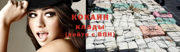гидра Аркадак