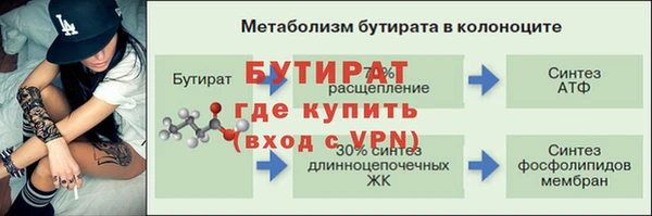 гидра Аркадак