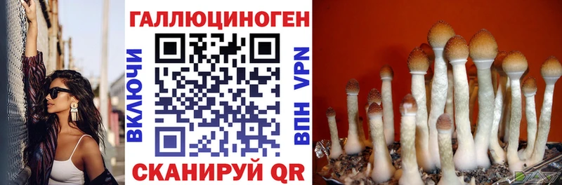 Псилоцибиновые грибы MAGIC MUSHROOMS  маркетплейс состав  Усинск 